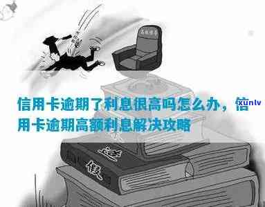 信用卡逾期利息比较高吗？怎么办？