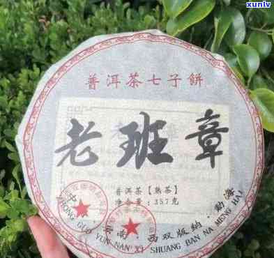 普洱茶生茶老班章多少钱一饼-普洱茶老班章生茶价位