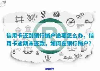 信用卡忘记还款逾期销户-信用卡忘记还款逾期销户了怎么办