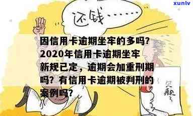 欠信用卡坐牢案例视频: 2020亲身经历与心声