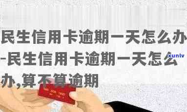 民生信用卡逾期不能刷卡-民生信用卡逾期不能刷卡怎么办