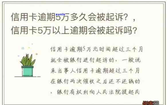 信用卡逾期判几年无期-信用卡逾期判几年无期怎么办