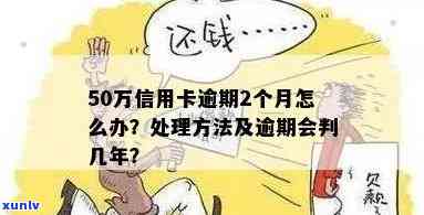 翡翠购买过程中的砍价技巧与常用术语解析：如何更有效地讲价并避免被骗