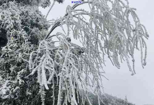 普洱市冬天最冷到多少，普洱市冬极寒：气更低记录揭秘！