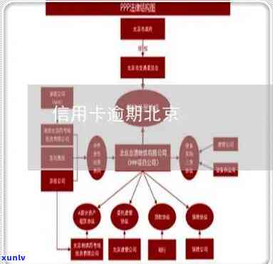 北京信用卡逾期最新-北京信用卡逾期最新消息