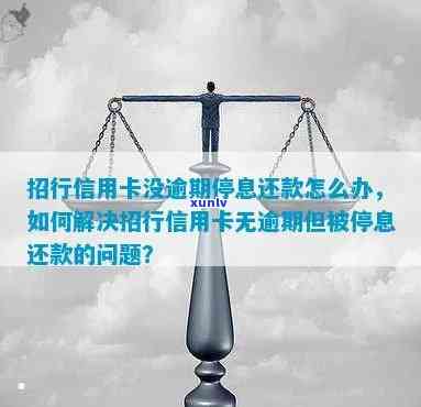 招商银行信用卡逾期还款后被停卡了怎么办，招商银行信用卡逾期还款后被停卡：解决 *** 一览