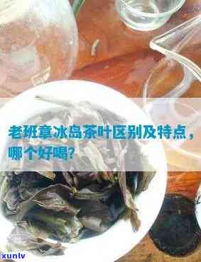 普洱茶种类冰岛和老班章特点及区别