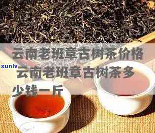 云南老班章古树茶价格及产地
