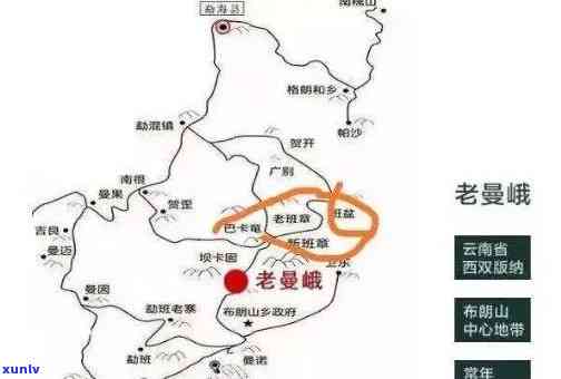 老班章茶产地在哪里及其产区