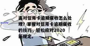 没办信用卡收到逾期信息该怎么处理，应对信用卡逾期信息的处理 *** 