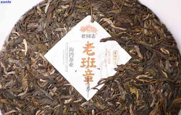 云华苑老班章古树茶-云华普老班章