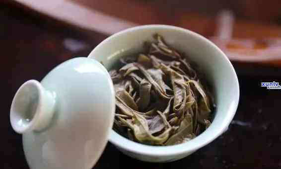 老班章茶属于红茶还是绿茶，老班章茶：红茶还是绿茶？探寻茶叶的身份