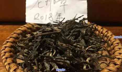 老班章木茶算什么茶？特点、区别、价格与珍藏品