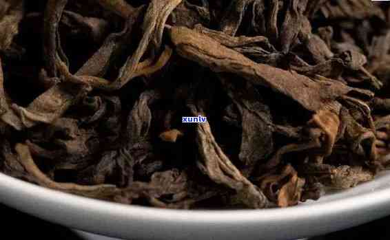 老班章木茶算什么茶？特点、区别、价格与珍藏品