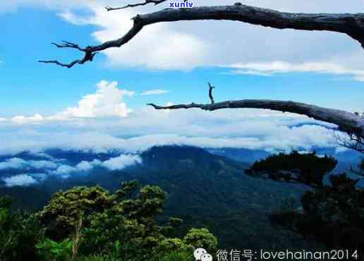 云南普洱十二大名山-云南普洱十二大名山排名