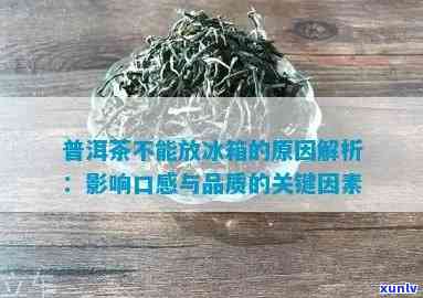 普洱为什么不能放冰箱，为何普洱茶不能冷藏？探究冷藏对普洱茶的影响