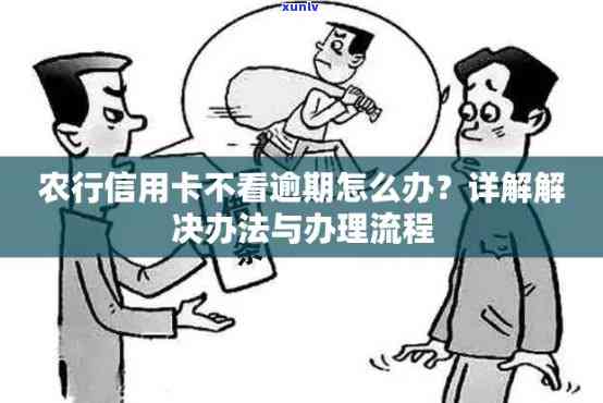 农行信用卡逾期还不起了-农行信用卡逾期还不起了怎么办