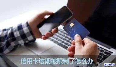 信用卡逾期后有哪些费用可以扣：详细解析与处理建议