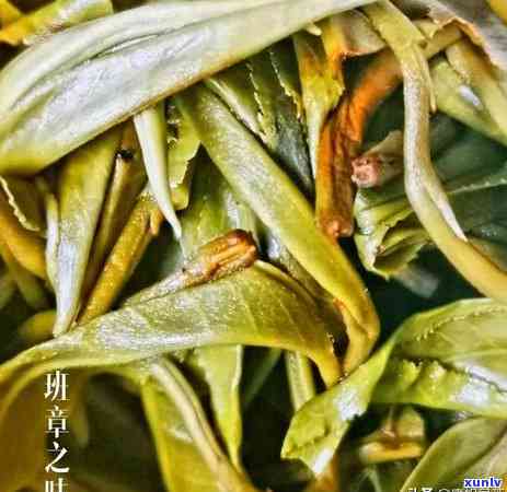 老班章的茶叶有哪些-老班章的茶叶有哪些品种