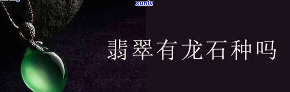 龙翡翠是什么颜色的寓意及石种