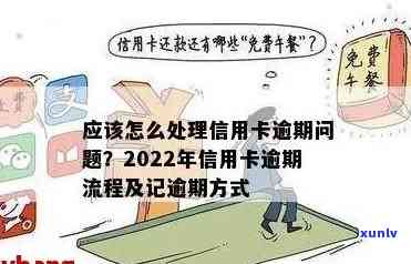 2022年信用卡逾期流程及自救办法-2022年信用卡逾期流程及自救办法最新