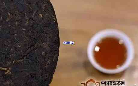 普洱茶怎么会有腥味？为什么会有腥的味道？