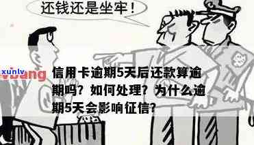 信用卡还5天会逾期吗怎么办？