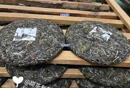 薄荷塘比老班章好吗-薄荷塘和老班章哪个好