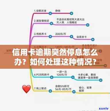 信用卡系统维护逾期怎么处理？