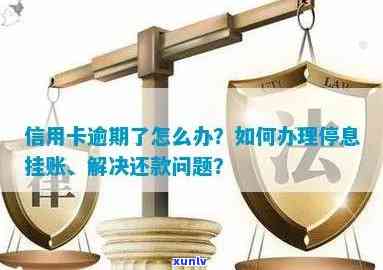 信用卡系统维护逾期怎么处理？