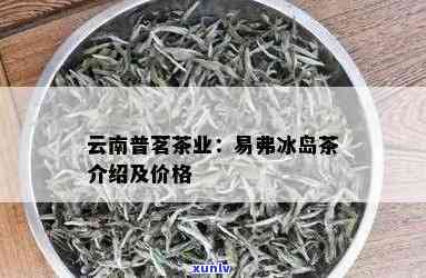 云南易品冰岛茶价格-云南冰岛茶叶价格表