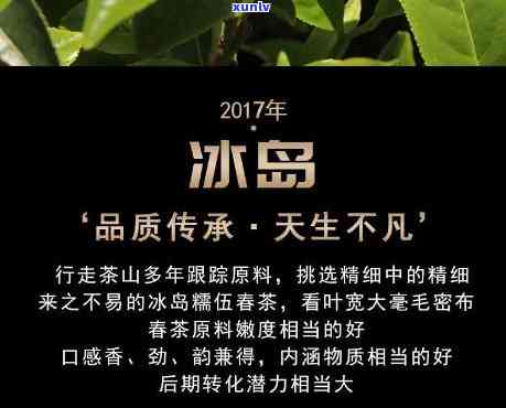 箐中古树普洱茶CCTV销售质量顺红百年冰岛