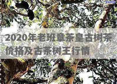 老班章古茶好喝吗-老班章古树茶2020价格