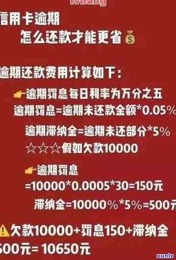 信用卡逾期如何沟通免息罚款期还款申请