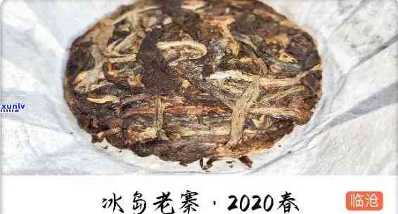 冰岛古树茶藏 *** 视频，保与保存：冰岛古树茶的藏 *** 视频