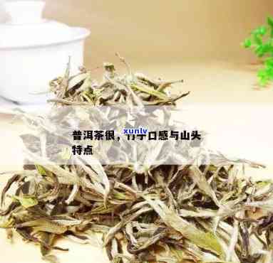 竹子普洱茶口感特点与山头来源