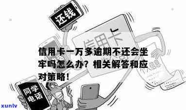 信用卡逾期几万块真的会坐牢吗？怎么办？