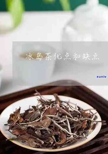 冰岛茶是红茶还是绿茶