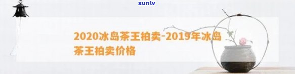 冰岛茶王2020年至2024年拍卖价格