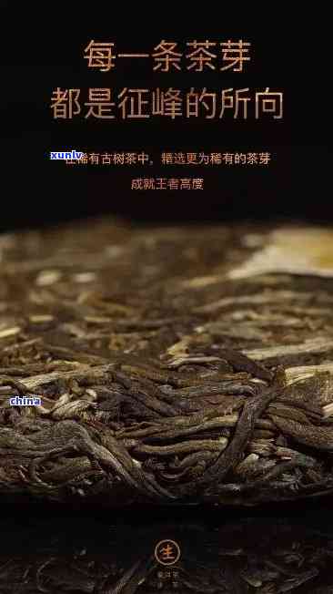 老班章的茶为什么那么贵？好吗？