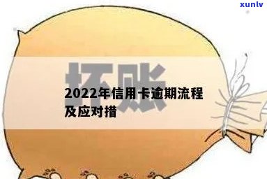 2022年信用卡逾期流程及自救措