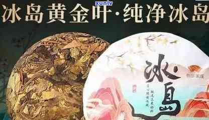 冰岛黄金叶的功效，探寻冰岛黄金叶的神奇功效：解密健之源