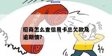 查看招商信用卡逾期情况及相关查询 *** 