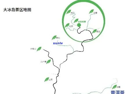 冰岛产区古树茶有那些特点、地理位置和山头