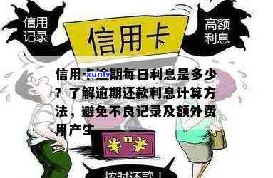 信用卡逾期逃费债务怎么算利息及相关费用