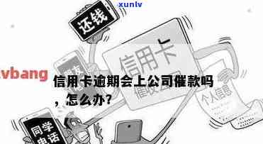 信用卡逾期催账公司-信用卡逾期催账公司可以查到后来买房的地址吗