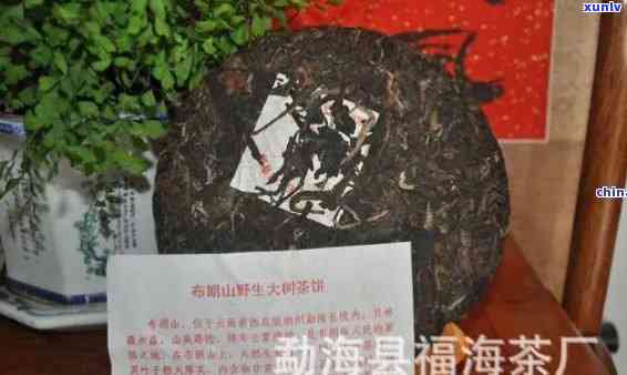 福海老班章2013茶饼，古树