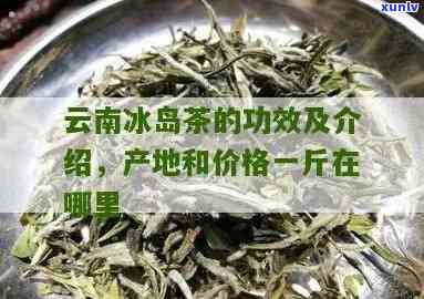 云南冰岛茶价格多少钱一斤，云南冰岛茶一斤多少钱？价格揭秘！