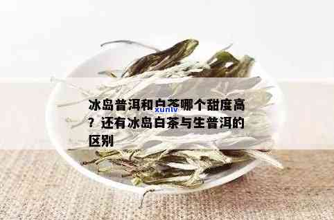 冰岛白茶和生普洱的区别、级别、价格、功效与特点