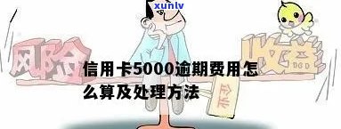 信用卡5000逾期规定及处理方式